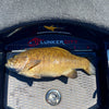 Adhesive Fish Ruler