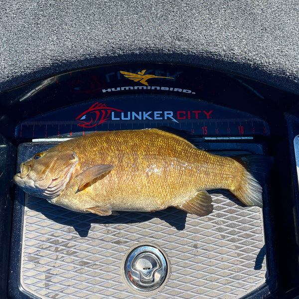 Fish Rulker Adhesive Fish Ruler - Lunker City